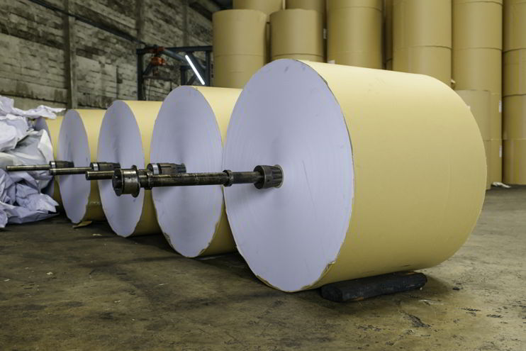 Offset Printing Paper Rolls in a Printing Factory