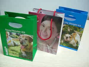 Paper Bags